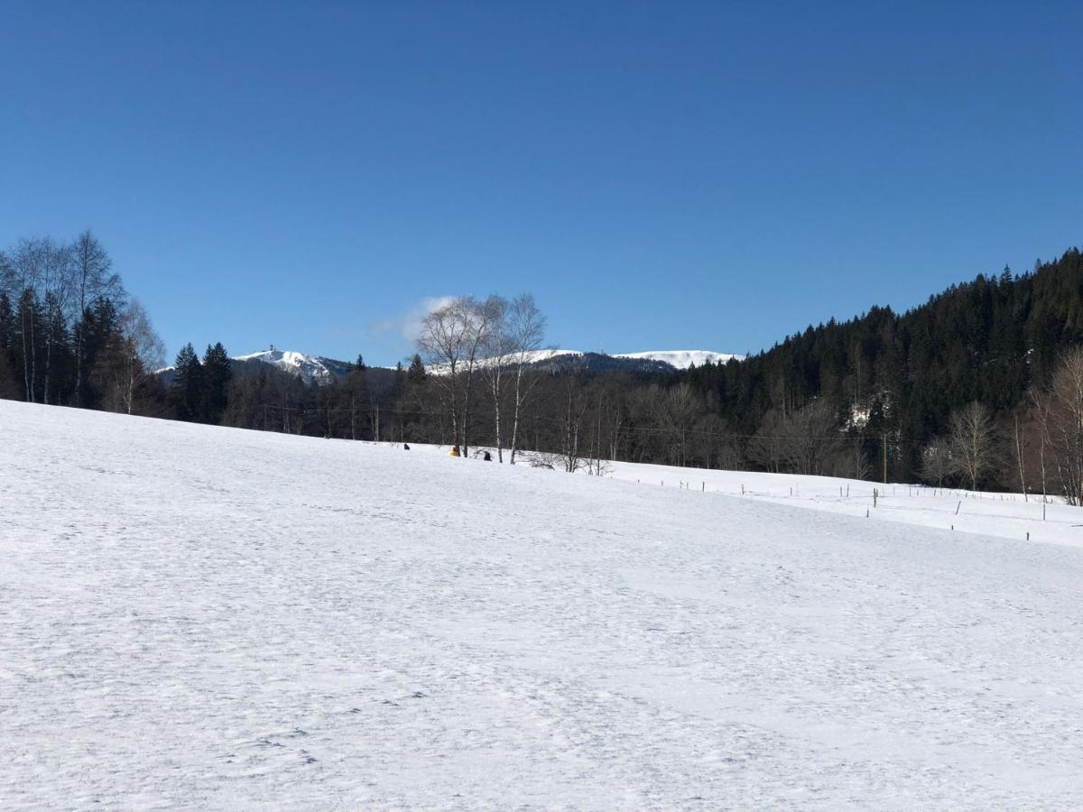 Gaestehaus Lickert Familie Dreher Hinterzarten Exterior foto